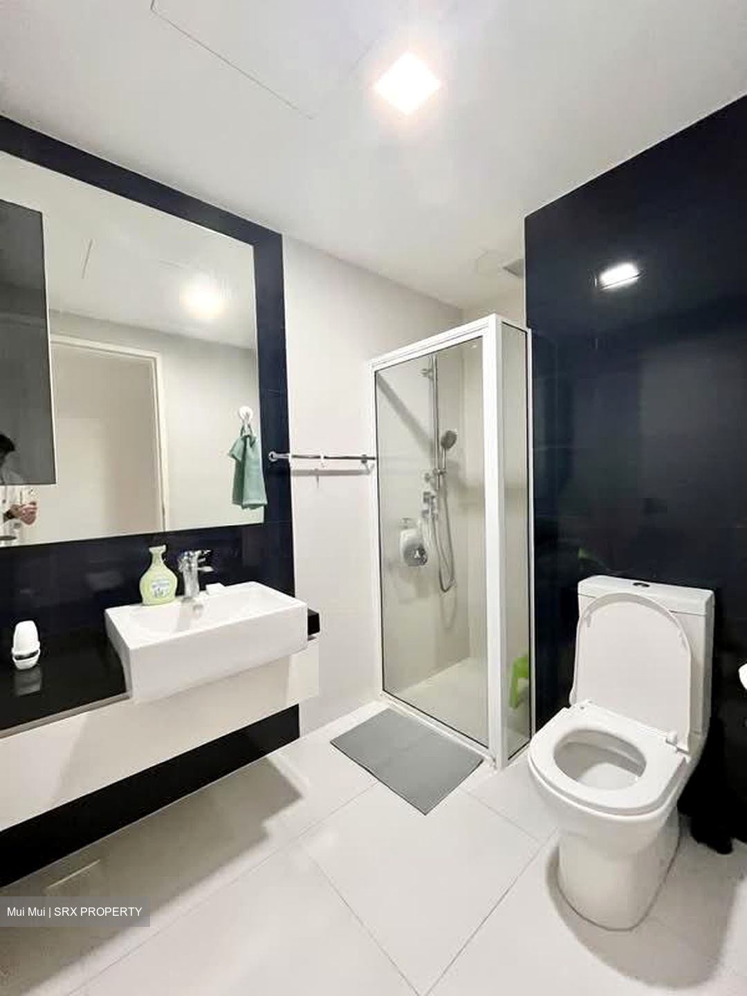 The Interlace (D4), Condominium #554807161